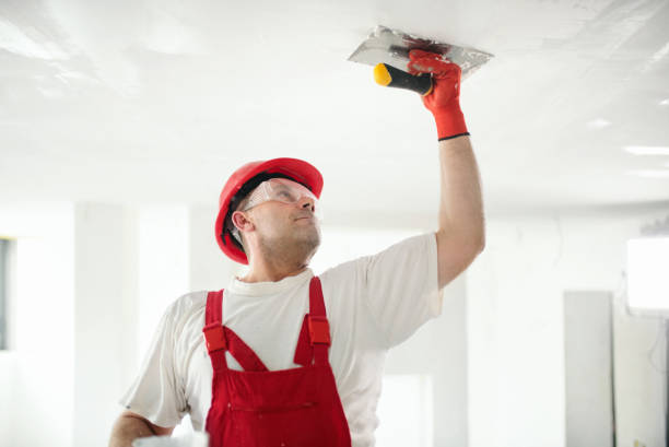 Best Commercial Painting  in Reading, MI