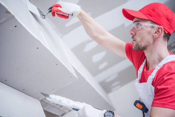 Best Drywall Finishing  in Reading, MI